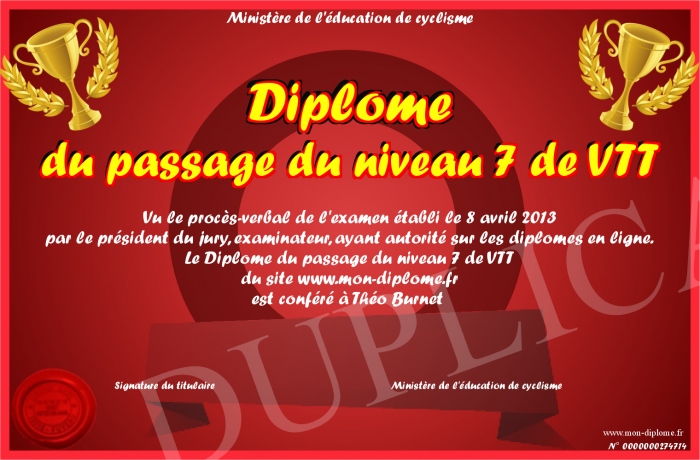diplome niveau 7